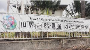 世界自然遺産小笠原諸島